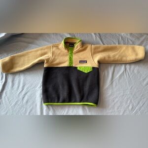 Patagonia Synchilla Fleece with Green Accents